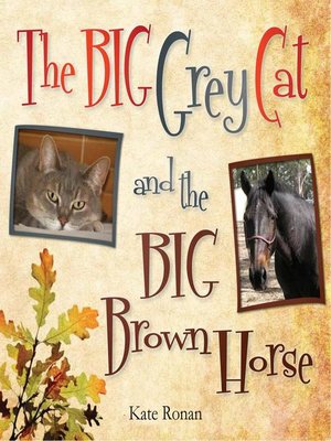 cover image of The Big Grey Cat and the Big Brown Horse